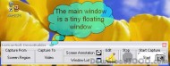 DemoBuilder Floating Screen Capture screenshot